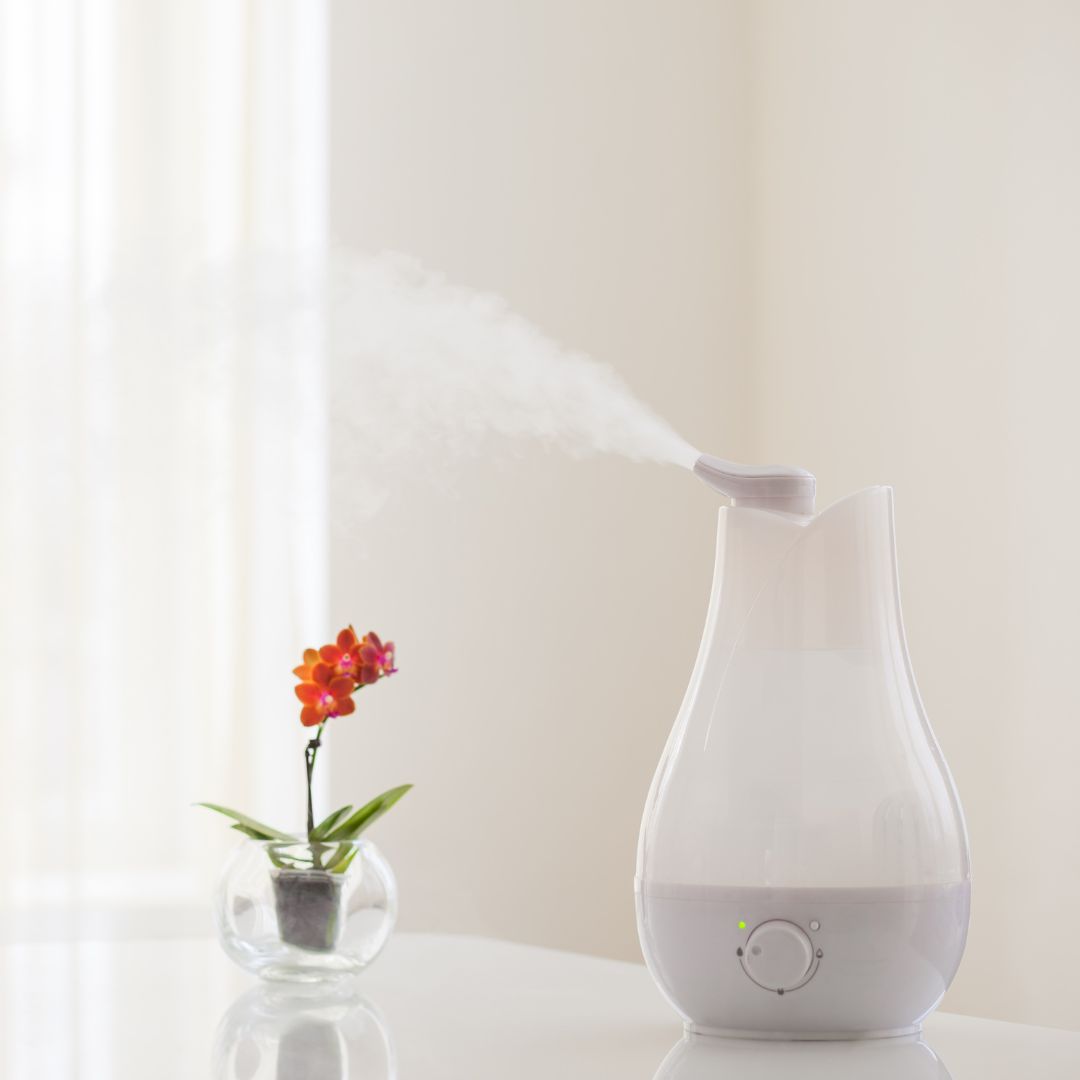 Humidifier sitting on a table
