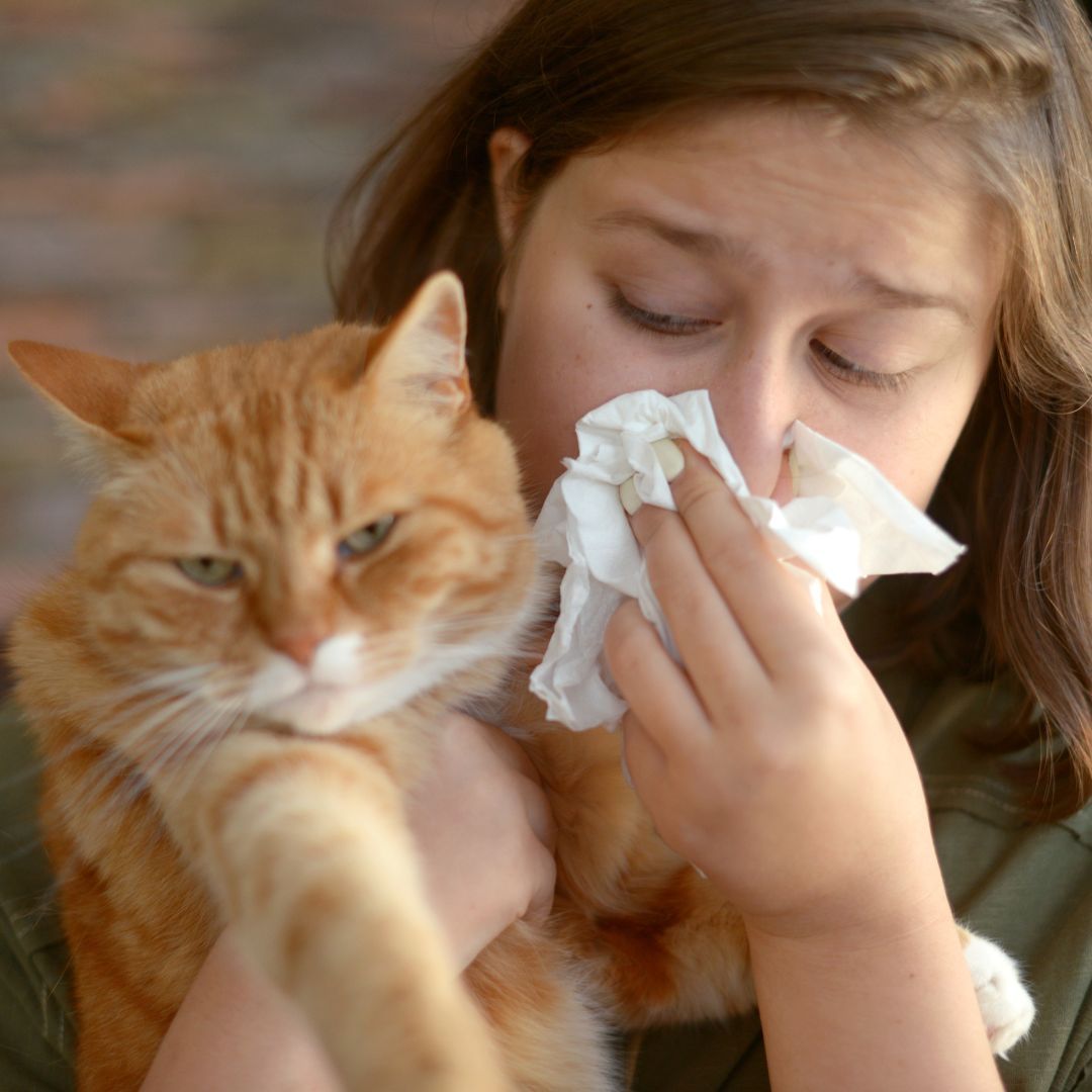 person blowing nose and petting cat